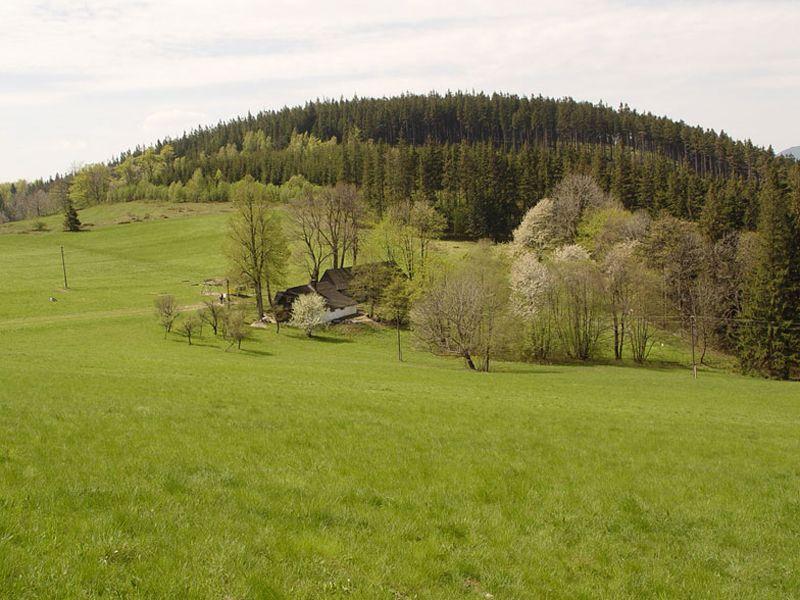 DŘEVJANKA U ZBUJA NA OSTRAVICI