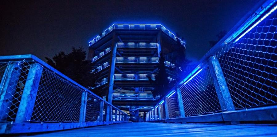 Stezka korunami strom�