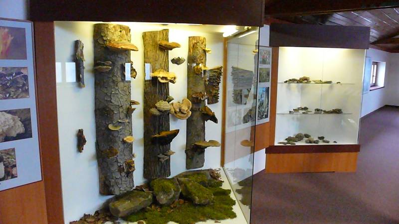 SVATOHOSTÝNSKÉ MUZEUM