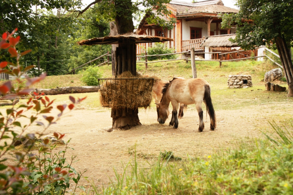 ZOO BRNO