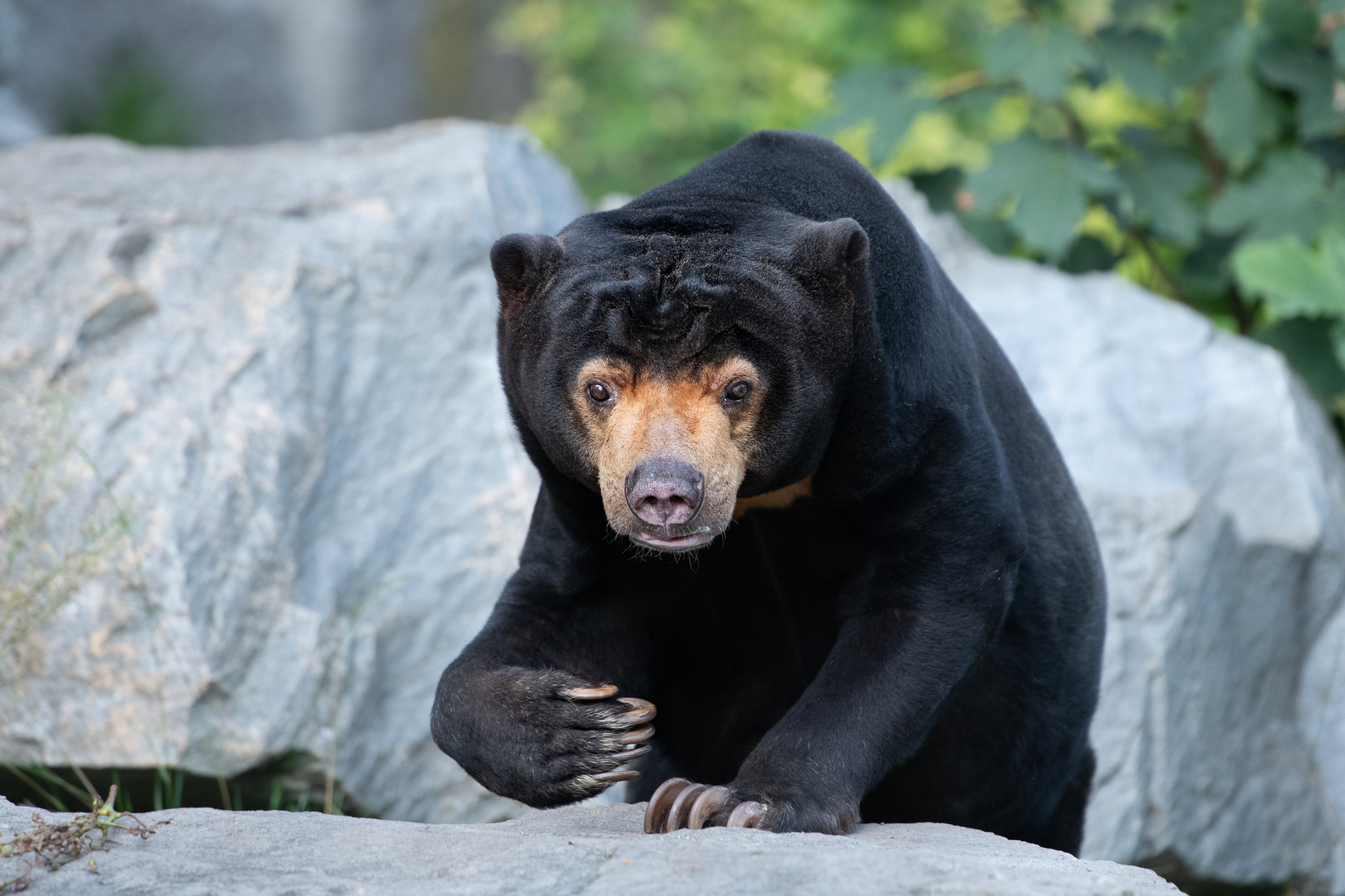 ZOO ÚSTÍ NAD LABEM