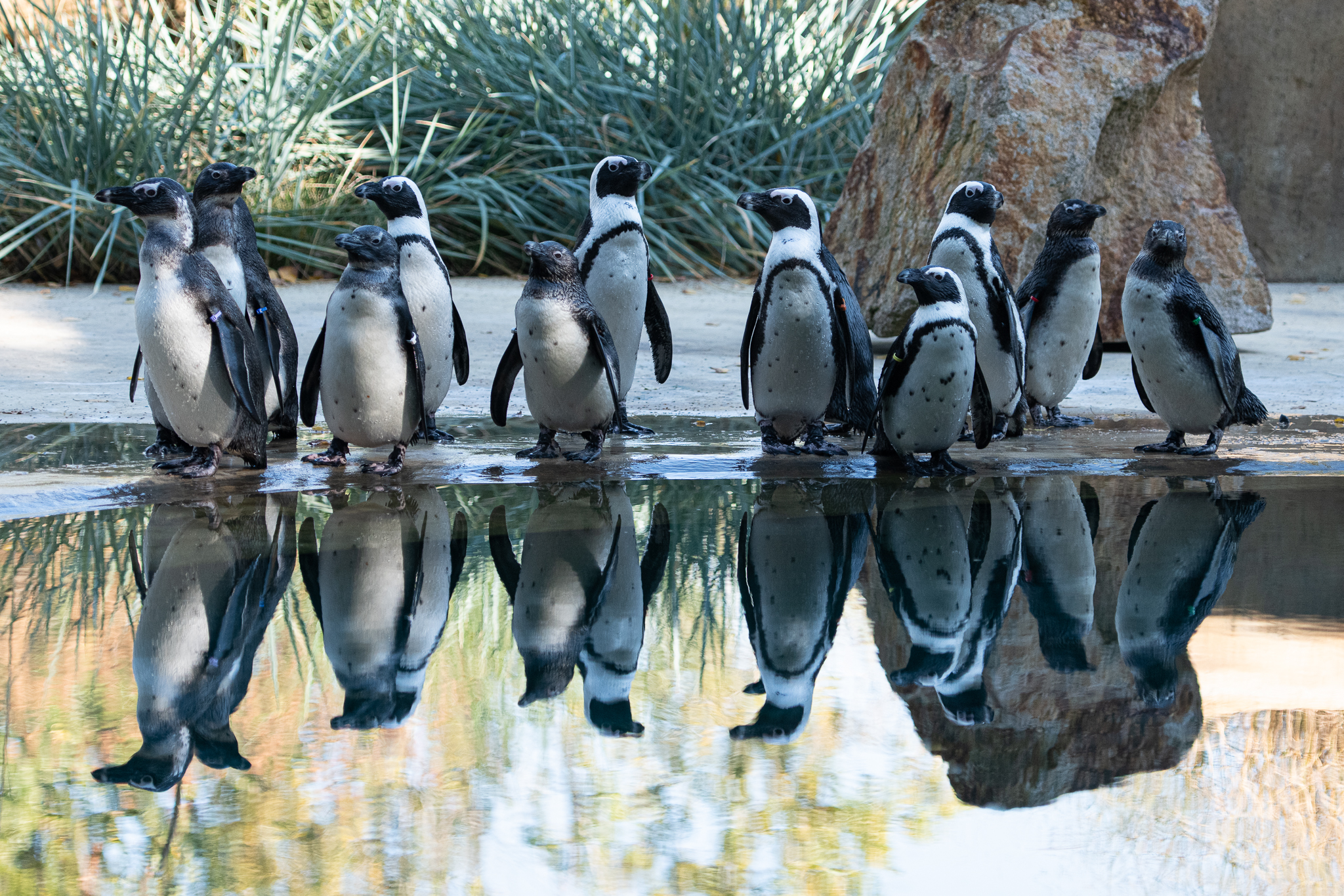 ZOO �ST� NAD LABEM