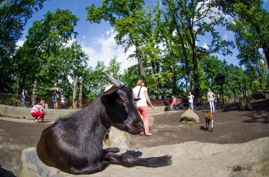 Zoo Ostrava