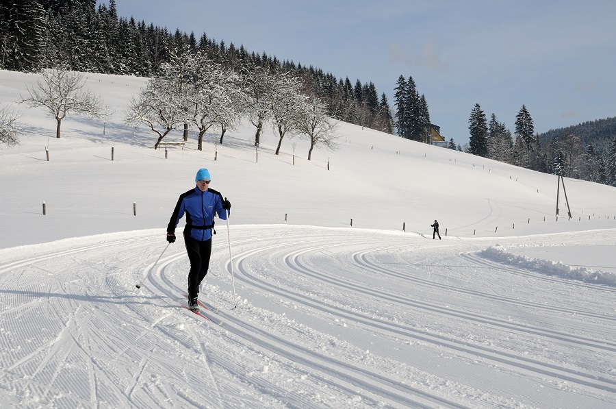 SKI AREL RAZULA VELK KARLOVICE