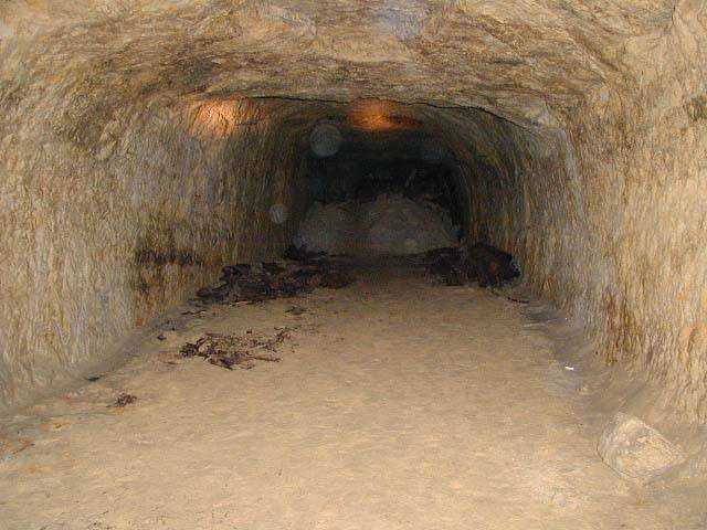 PODZEMN� LETECK� TOV�RNY Z II. SV�TOV� V�LKY V RAB�TEJN� U SRBSK� KAMENICE