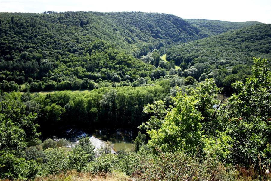 NÁRODNÍ PARK PODYJÍ