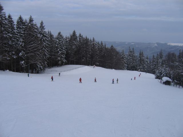 Cvin louka