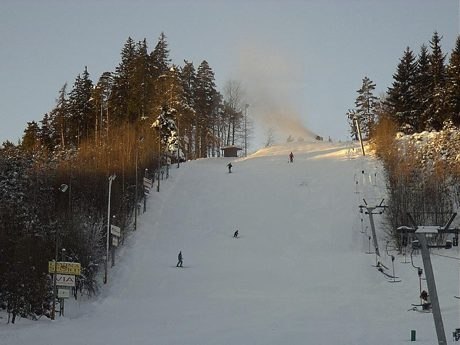 LY�OV�N� ZA DOMEM PALKOVICE