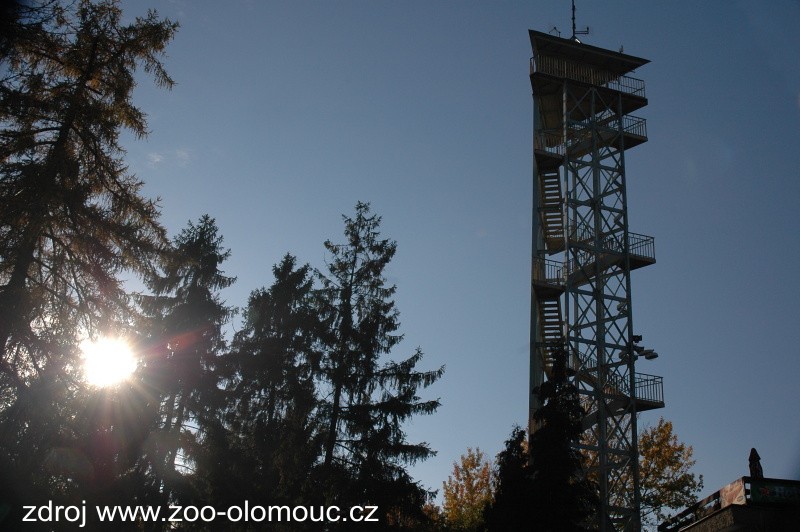 zoo Olomouc – Vyhlídková věž