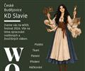 Vln�n� festival - WOOL FEST